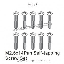 ZD RACING 1/16 RC Car Spare Parts 6079 M2.6X14 Pan Self-tapping Screw set