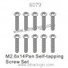 ZD RACING 1/16 RC Car Spare Parts 6079 M2.6X14 Pan Self-tapping Screw set